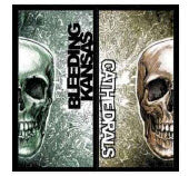 Split LP - Bleeding Kansas / Cathedrals