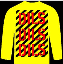 DILS - DILS DILS DILS LONG SLEEVE TEE SHIRT