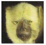 DIKES OF HOLLAND - INTO THE DITCHES