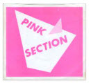 PINK SECTION - TOUR IN CHINA