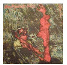 STRAIGHTJACKET FITS - HAIL