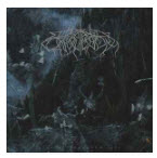 WOLVES IN THE THRONE ROOM - LIVE AT ROADBURN 2008
