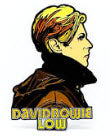 DAVID BOWIE - LOW ENAMEL PIN