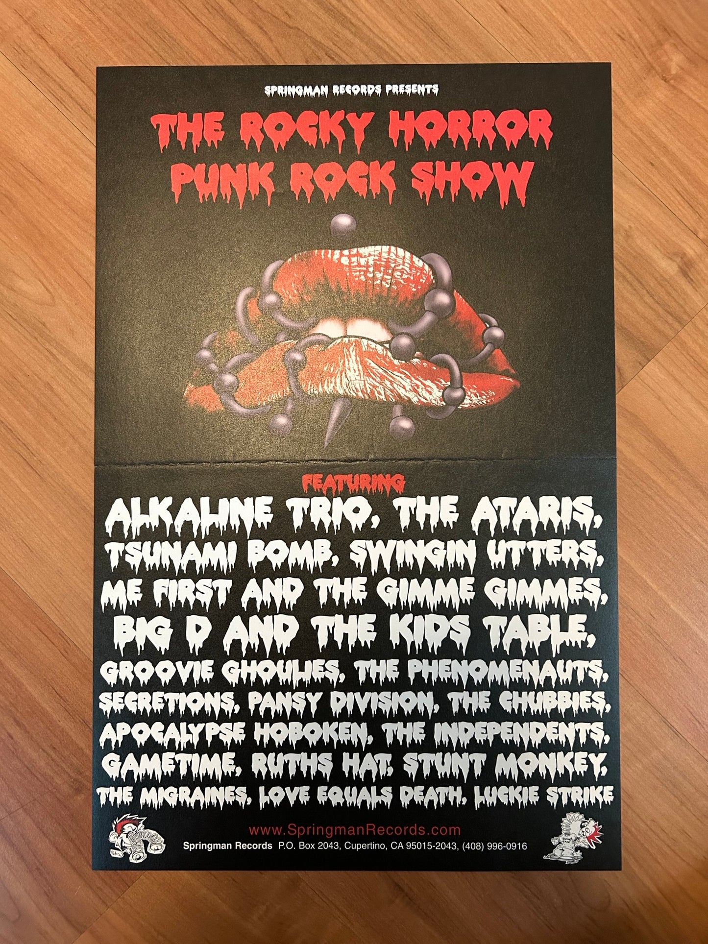 ROCKY HORROR PUNK ROCK SHOW POSTER