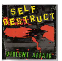 SELF DESTRUCT - VIOLENT AFFAIR