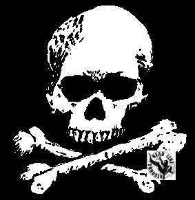 PATCH - SKULL PATCH