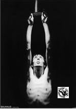 BAUHAUS - PETER MURPHY PICTURE 1980 POSTER