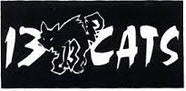 PATCH - 13 PATCH PATCH