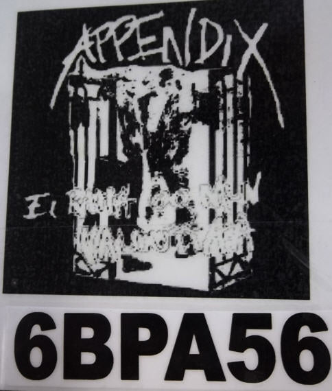 APPENDIX - IT RUIN BACK PATCH