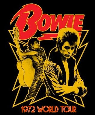 DAVID BOWIE - 1972 WORLD TOUR 1" BUTTON
