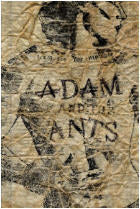 ADAM & THE ANTS - PICTURES BY MICK MERCER