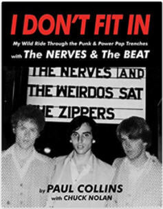 BOOK - I DON'T FIT IN ( THE NERVES & THE BEAT )