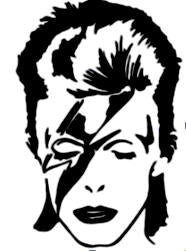BOWIE - FACE PATCH