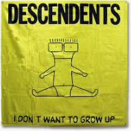 DESCENDENTS - I DON'T WANT TO GROW UP FABRIC FLAG BANNER
