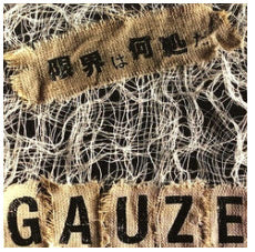 GAUZE - GENKAI WA DOKO DAI (3RD LP)