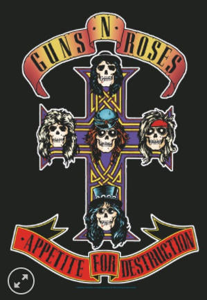 GUNS N ROSES - APPETITE FOR DESTRUCTION FABRIC FLAG BANNER