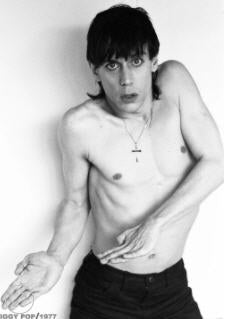 IGGY POP - PICT 1977 POSTER