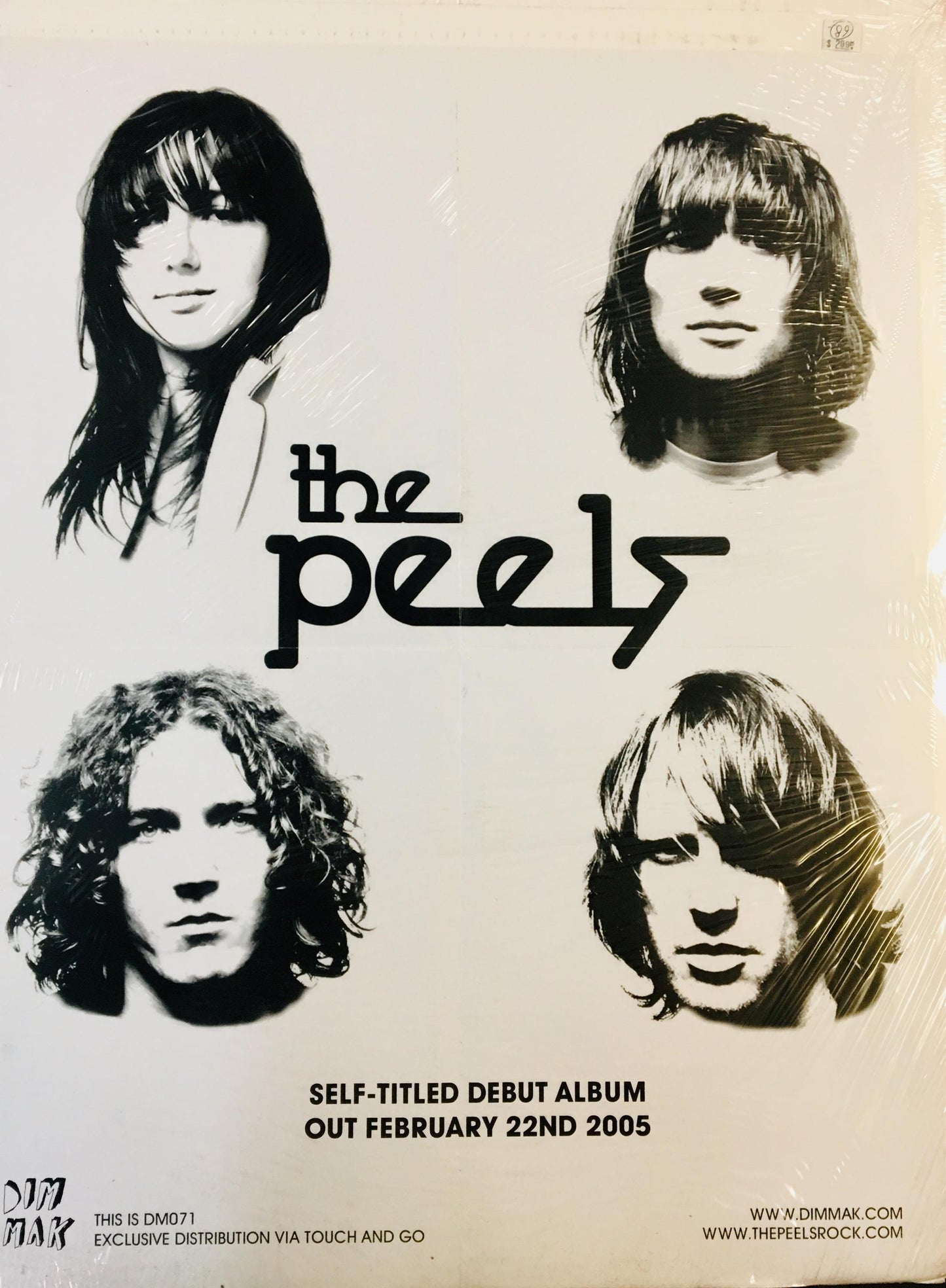 PEELS - S/T POSTER