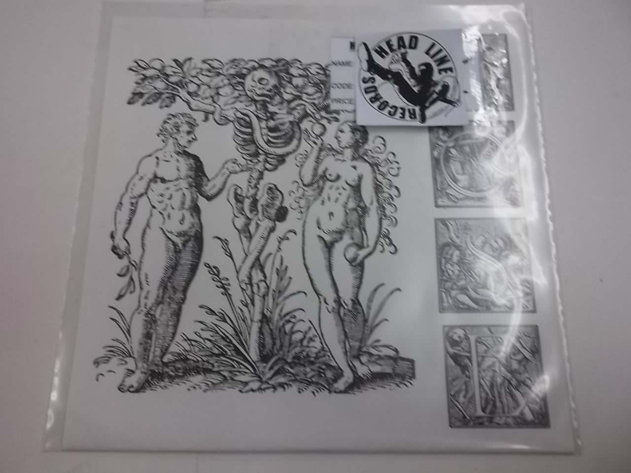 LOSE - WHAT'S YOUR NAME