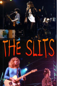 SLITS - PICTURES BOOK BY MICK MERCER