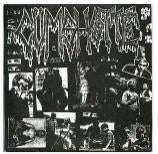 SPLIT EP - Cümshøtté / Excreted Alive