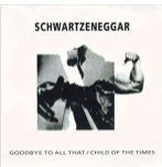 Schwartzeneggar Goodbye To All That