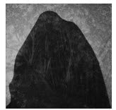 Sloths – Twenty Years