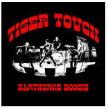 Tiger Touch Hawthorne Boogie