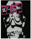 UK SUBS - PUNK CAN TAKE IT DVD