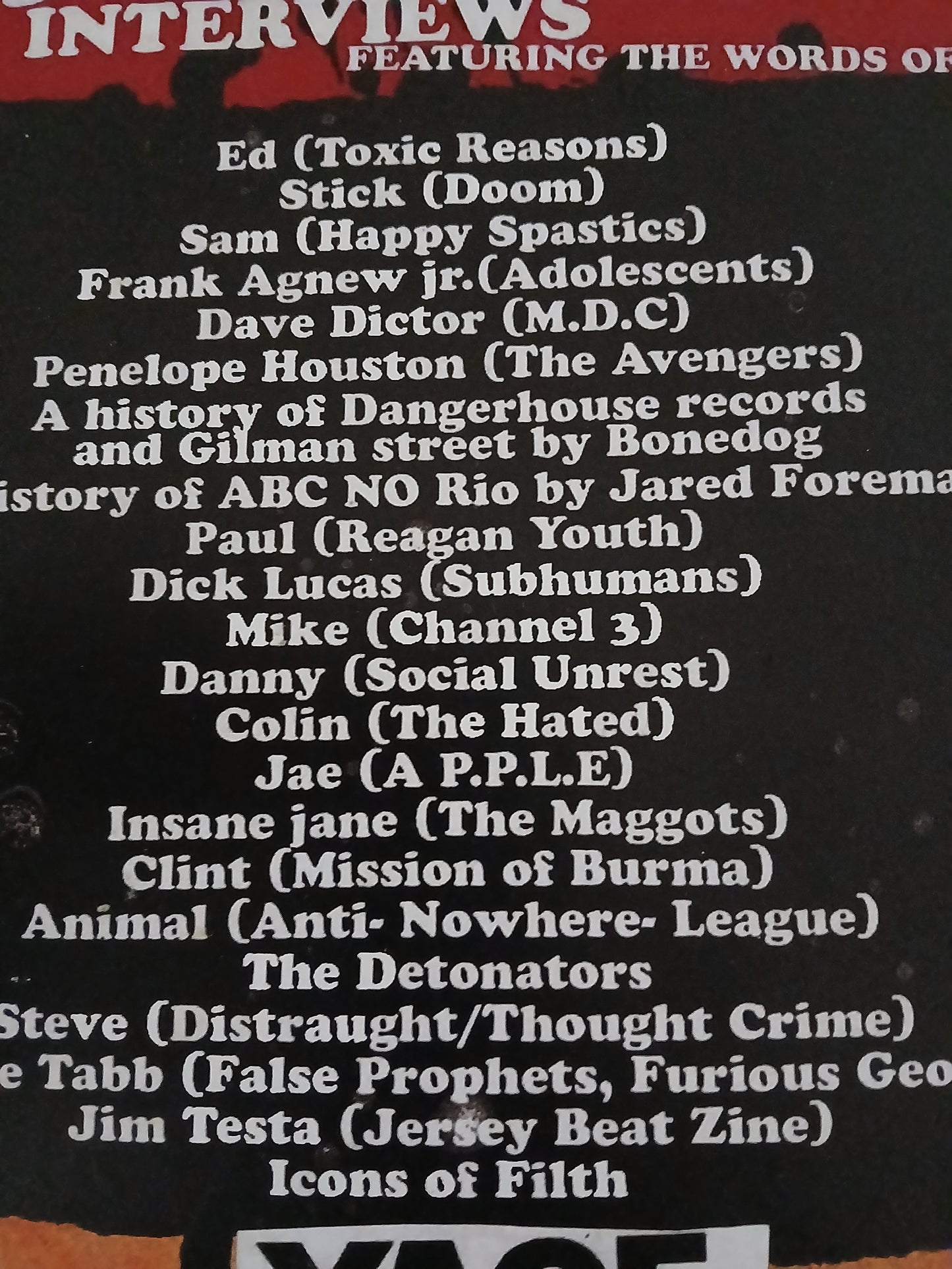 BOOK - DOWN THE PUNK ROCK HIGHWAY BY JARED FORMAN