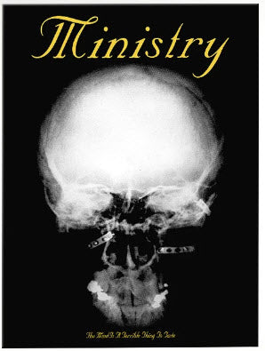 MINISTRY - THE MIND IS A TERRIBLE THING TO TASTE CANVAS POSTER