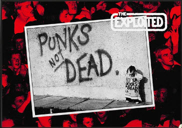 EXPLOITED - PUNKS NOT DEAD CANVAS POSTER