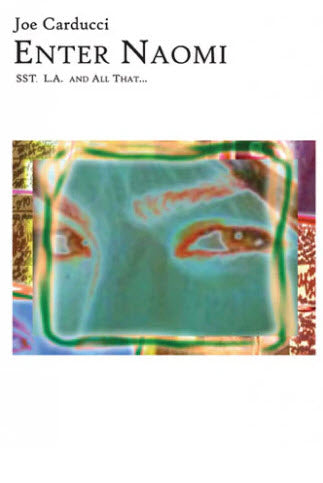 BOOK - JOE CARDUCCI "ENTER NOAMI" BOOK