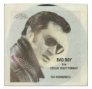 TEX RUBINOWITZ - BAD BOY