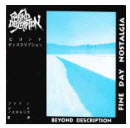 BEYOND DESCRIPTION - FINE DAY NOSTALGIA