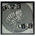 FLEAS & LICE - PARASITES