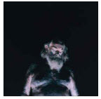 PAY NEUTER - DEAD INSIDE