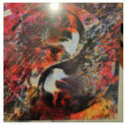 SPLIT LP - CULT LEADER / END