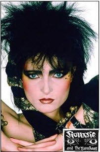 SIOUXSIE & THE BANSHEES - THE UNTOLD STORY BOOK