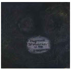 FLAGITIOUS IDIOSYNCRASY IN THE DILAPIDATION - S/T