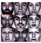 BAD RELIGION - GRAY RACE