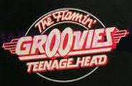 FLAMIN GROOVIES - TENAGE HEAD 1" BUTTON