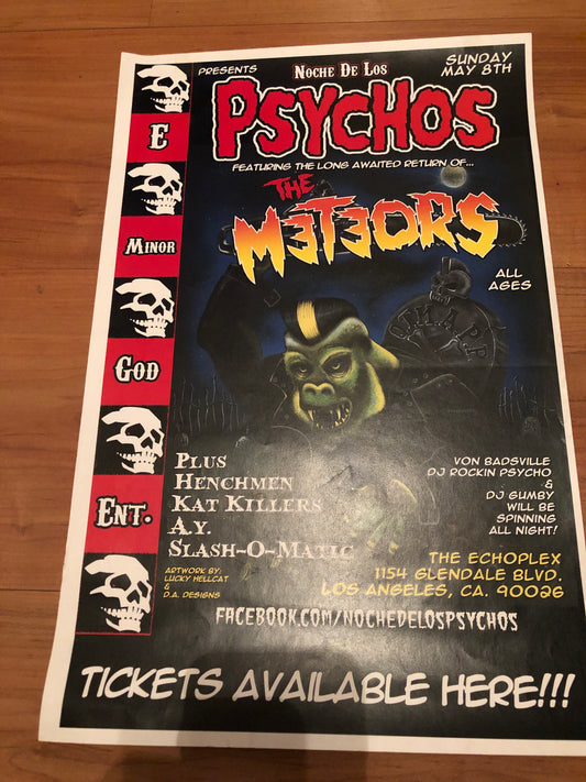 METEORS FLYER SHOW POSTER