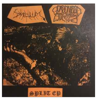 SPLIT EP - GORGONIZED DORKS / SPECULUM