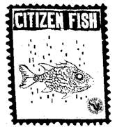 CITIZEN FISH - STAMP PATCH