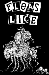 FLEAS & LICE - FLEAS 1" BUTTON