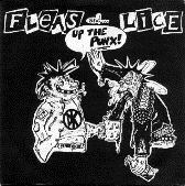 FLEAS & LICE - UP THE PUNKS 1" BUTTON