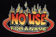 NO USE FOR A NAME- FIRE LOGO 1" BUTTON