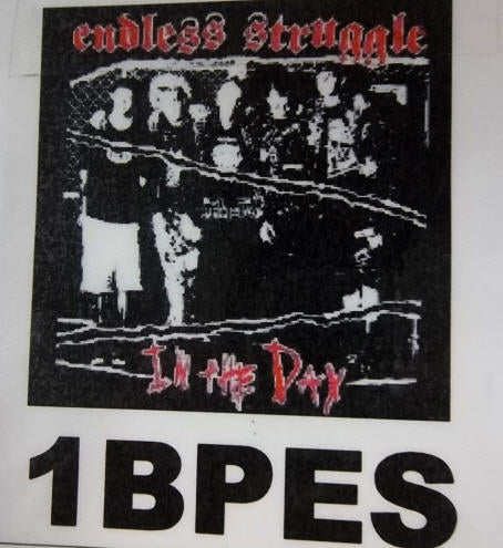 ENDLESS STRUGGLE - IN THE DAY BACK PATCH