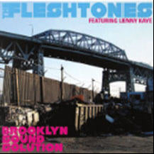 FLESHTONES - BROOKLYN SOUND SOLUTION